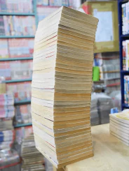 จอมเกบลูส์ 42 เล่มจบ รูปที่ 3