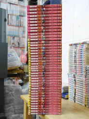 Fairy Tail แฟรี่เทล ศึกจอมเวทอภินิหาร เล่ม 1-46 รูปที่ 2
