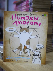 คู่มือใช้เหมียวเฟี้ยวสุดๆ Humaew Anatomy รูปที่ 1
