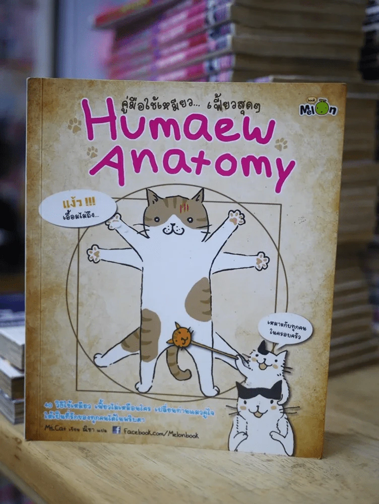 คู่มือใช้เหมียวเฟี้ยวสุดๆ Humaew Anatomy รูปที่ 1
