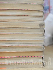 เรียกเขาว่าอีกา 26 เล่มจบ (สภาพไม่ดี พิจารณาจากภาพก่อนซื้อนะคะ) รูปที่ 4