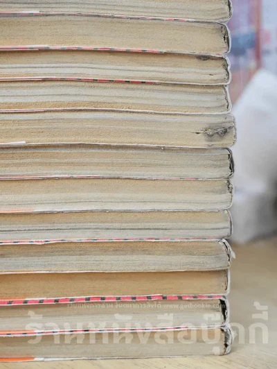 เรียกเขาว่าอีกา 26 เล่มจบ (สภาพไม่ดี พิจารณาจากภาพก่อนซื้อนะคะ) รูปที่ 4