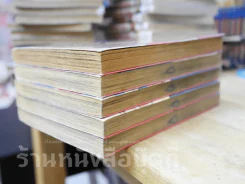 แชมเปี้ยนหมัดนักเลง 5 เล่มจบ รูปที่ 4
