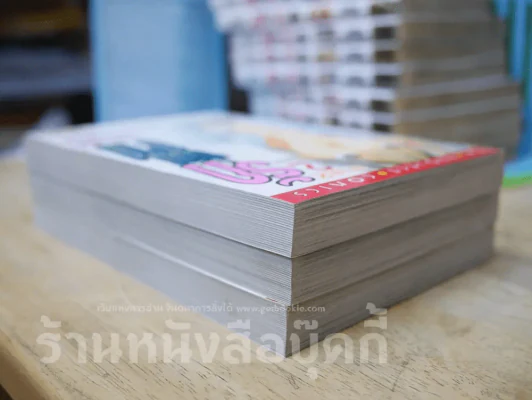 รักซ่อนบาป 2 เล่มจบ + เล่มพิเศษ รูปที่ 3