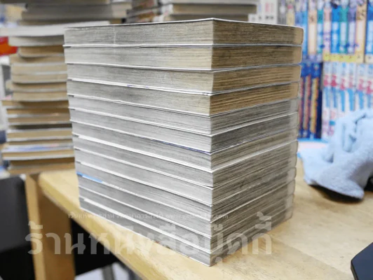 Damons ไดมอนส์ 13 เล่มจบ รูปที่ 3