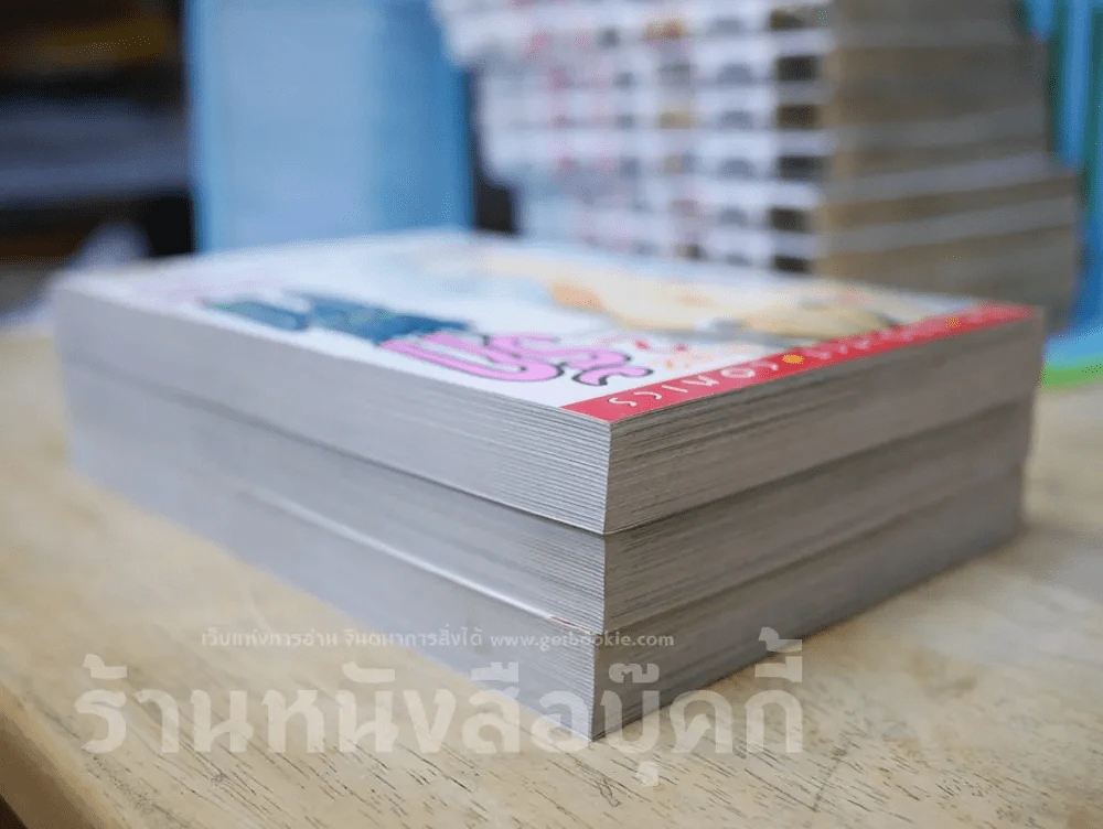 รักซ่อนบาป 2 เล่มจบ + เล่มพิเศษ รูปที่ 3