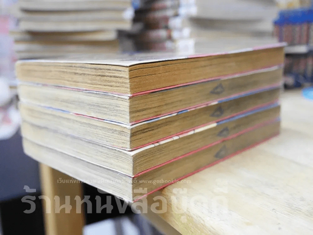 แชมเปี้ยนหมัดนักเลง 5 เล่มจบ รูปที่ 4