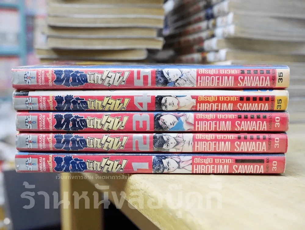 แชมเปี้ยนหมัดนักเลง 5 เล่มจบ รูปที่ 2