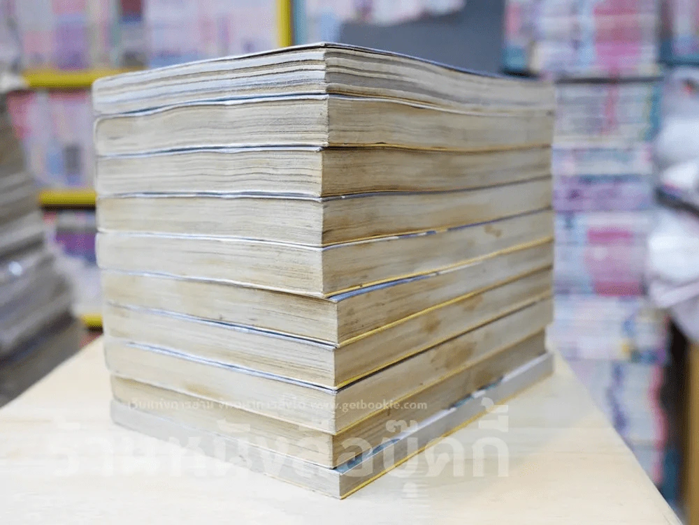 คนไร้ภพ 10 เล่มจบ (จบในเล่มทุกเล่ม) รูปที่ 5
