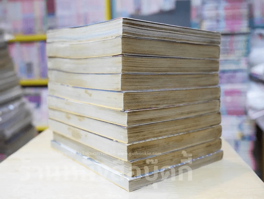 คนไร้ภพ 10 เล่มจบ (จบในเล่มทุกเล่ม) รูปที่ 3