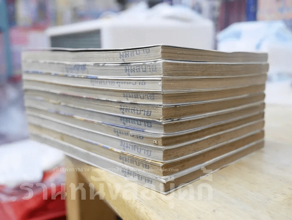 ข้ามภพมาพบรัก 10 เล่มจบ รูปที่ 3