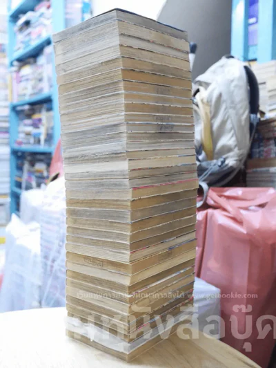 ล่าอสูรกาย 33 เล่มจบ + ภาคพิเศษ 1 เล่ม รูปที่ 4
