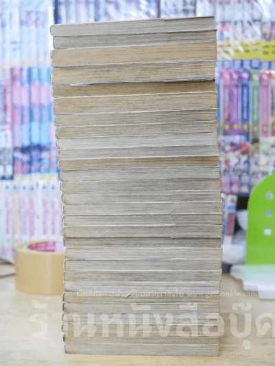 ตะวันรักที่ปลายฟ้า 28 เล่มจบ รูปที่ 5