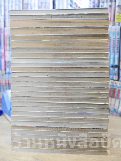ตะวันรักที่ปลายฟ้า 28 เล่มจบ รูปที่ 4