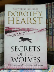 Secrets of The Wolves รูปที่ 1
