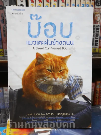 บ๊อบ แมวเตะฝันข้างถนน รูปที่ 1