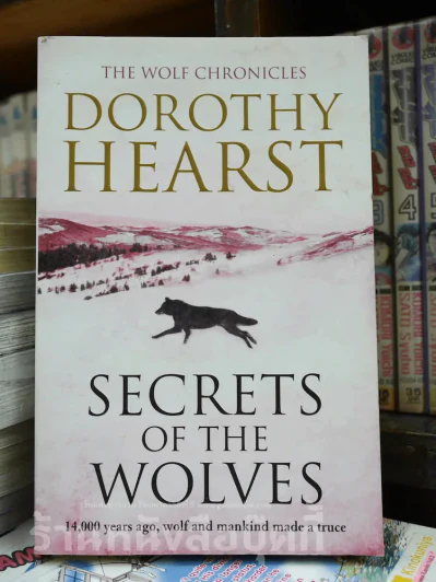 Secrets of The Wolves รูปที่ 1