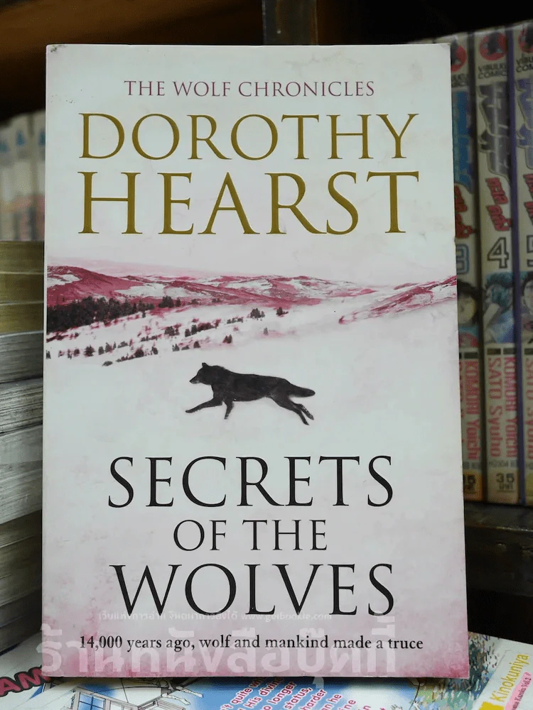 Secrets of The Wolves รูปที่ 1