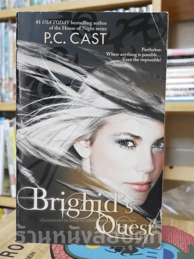 Bringhid's Quest รูปที่ 1