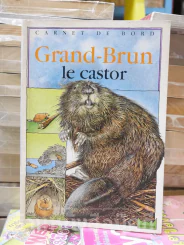 Grand-Brun le castor รูปที่ 1