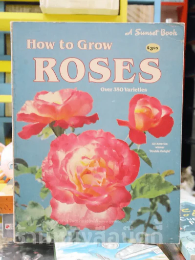 How to Grow Roses รูปที่ 1