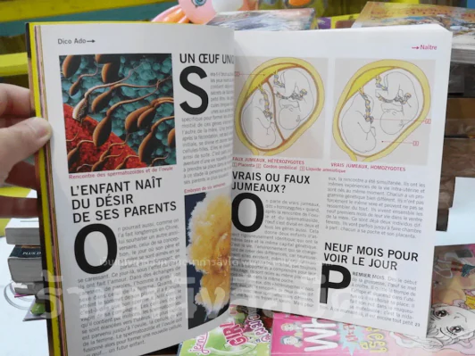 Les Mots De La Vie Dico Ado รูปที่ 3