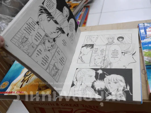 ตะวันรักที่ปลายฟ้า 28 เล่มจบ รูปที่ 8