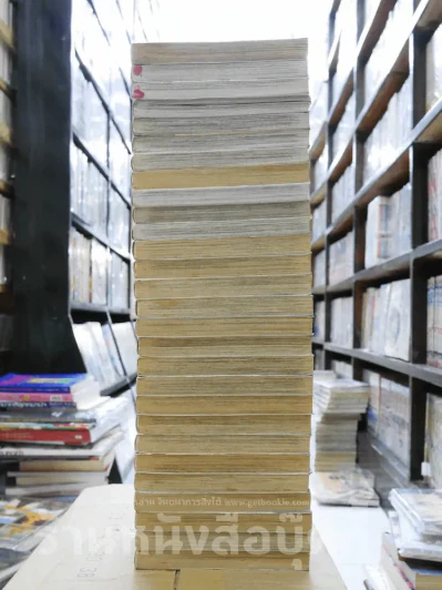 ตะวันรักที่ปลายฟ้า 28 เล่มจบ รูปที่ 5