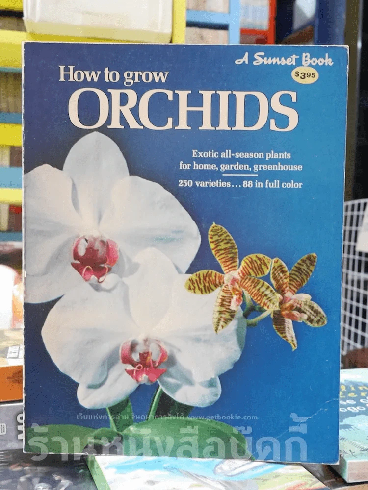 How to Grow Orchids รูปที่ 1