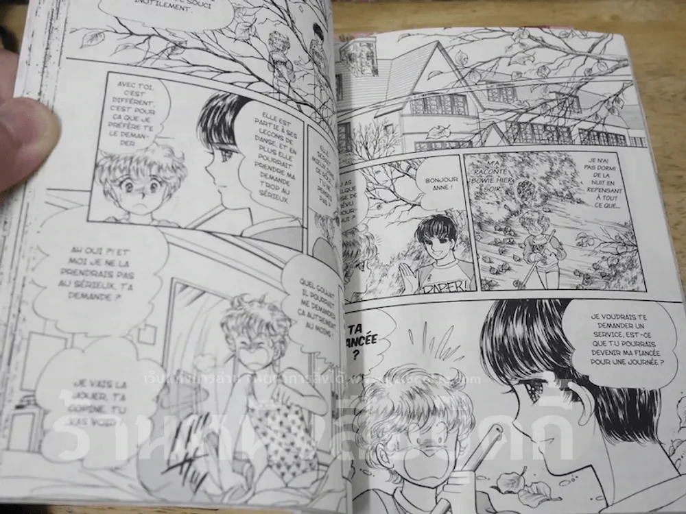 Anne 3 เล่มจบ (ภาษาฝรั่งเศส) รูปที่ 6