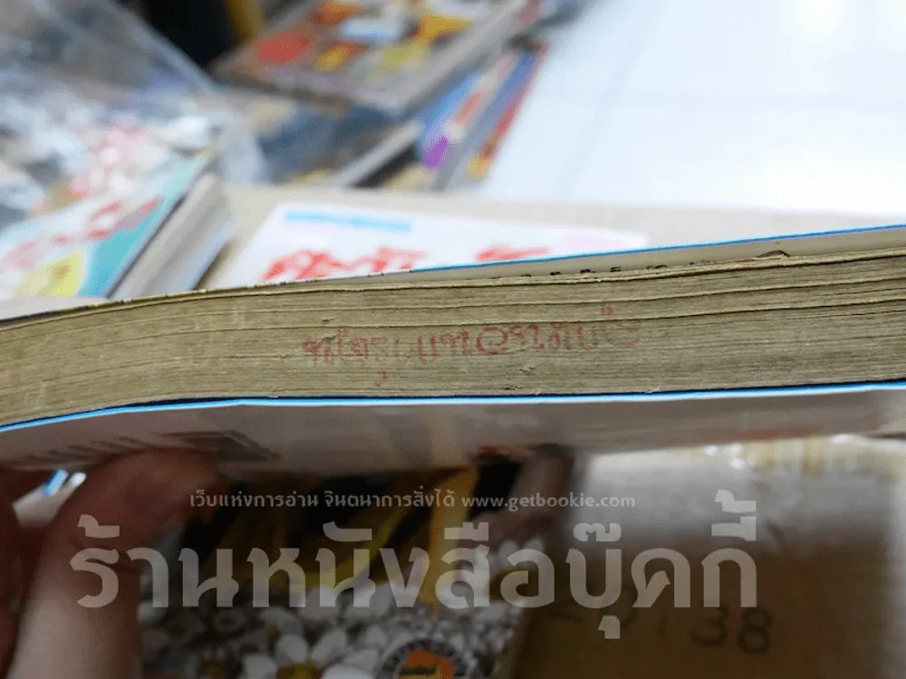 ตะวันรักที่ปลายฟ้า 28 เล่มจบ รูปที่ 11