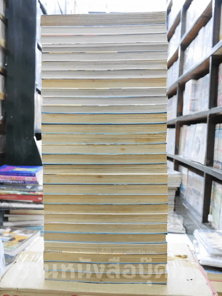 ตะวันรักที่ปลายฟ้า 28 เล่มจบ รูปที่ 4
