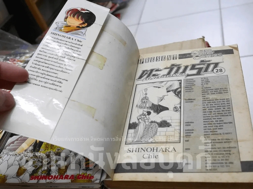 ตะวันรักที่ปลายฟ้า 28 เล่มจบ รูปที่ 10