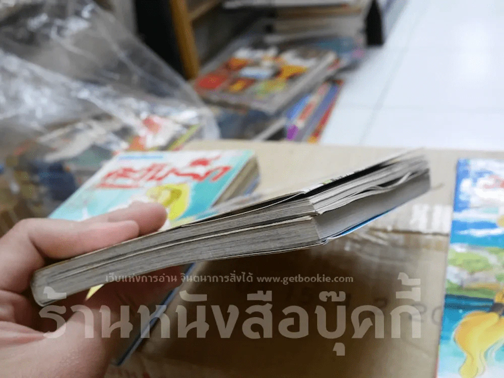 ตะวันรักที่ปลายฟ้า 28 เล่มจบ รูปที่ 9