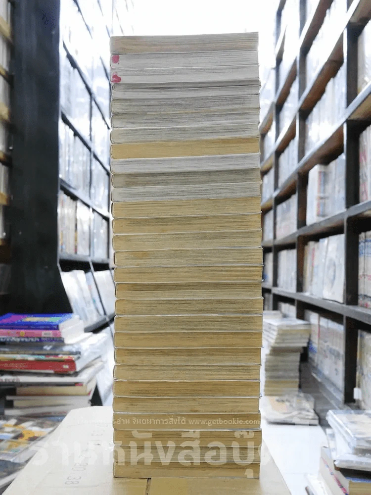 ตะวันรักที่ปลายฟ้า 28 เล่มจบ รูปที่ 5
