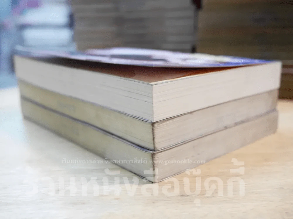 Sin Story III วัยร้ายวัยลวง 3 เล่มจบ รูปที่ 3