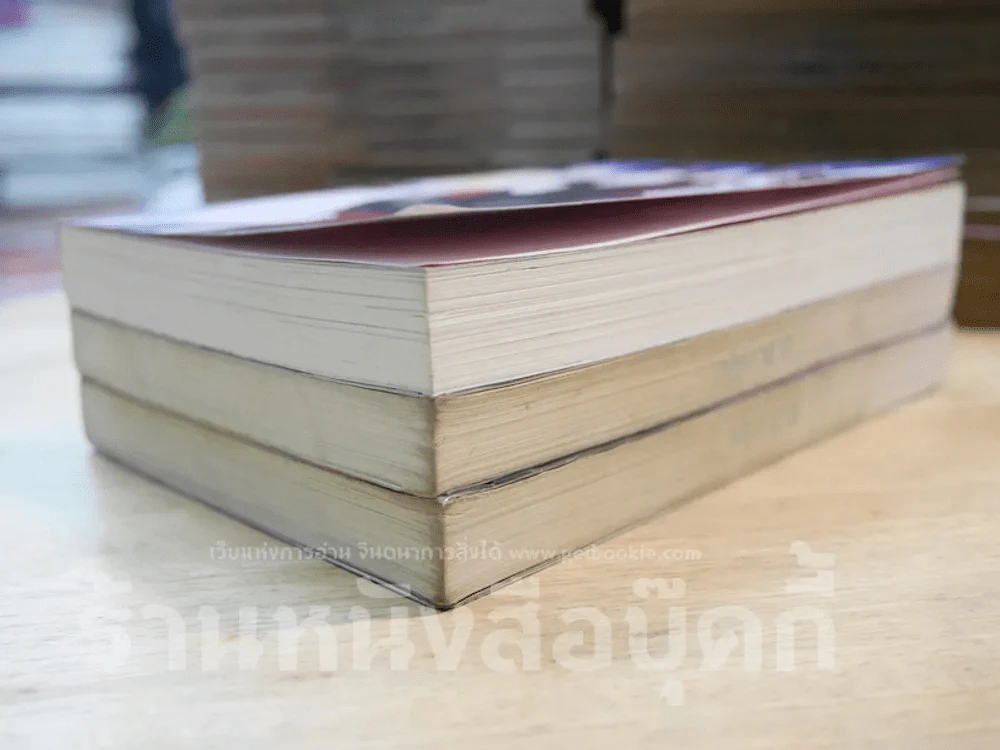 Sin Story III วัยร้ายวัยลวง 3 เล่มจบ รูปที่ 4