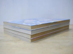 ฮัลโหลเอโกะ 4 เล่มจบ รูปที่ 4