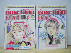 หุ่นพะโล้ก็มีหัวใจ 2 เล่มจบ รูปที่ 1