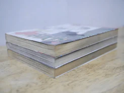 ยูโดสังหาร 3 เล่มจบ รูปที่ 3