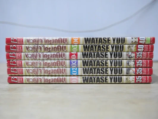 ขอคู่ใจใครสักคน 6 เล่มจบ รูปที่ 2