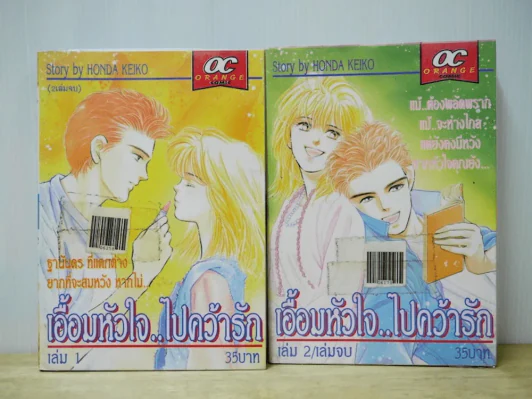 เอื้อมหัวใจไปคว้ารัก 2 เล่มจบ รูปที่ 1