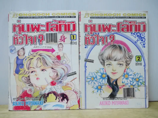 หุ่นพะโล้ก็มีหัวใจ 2 เล่มจบ รูปที่ 1