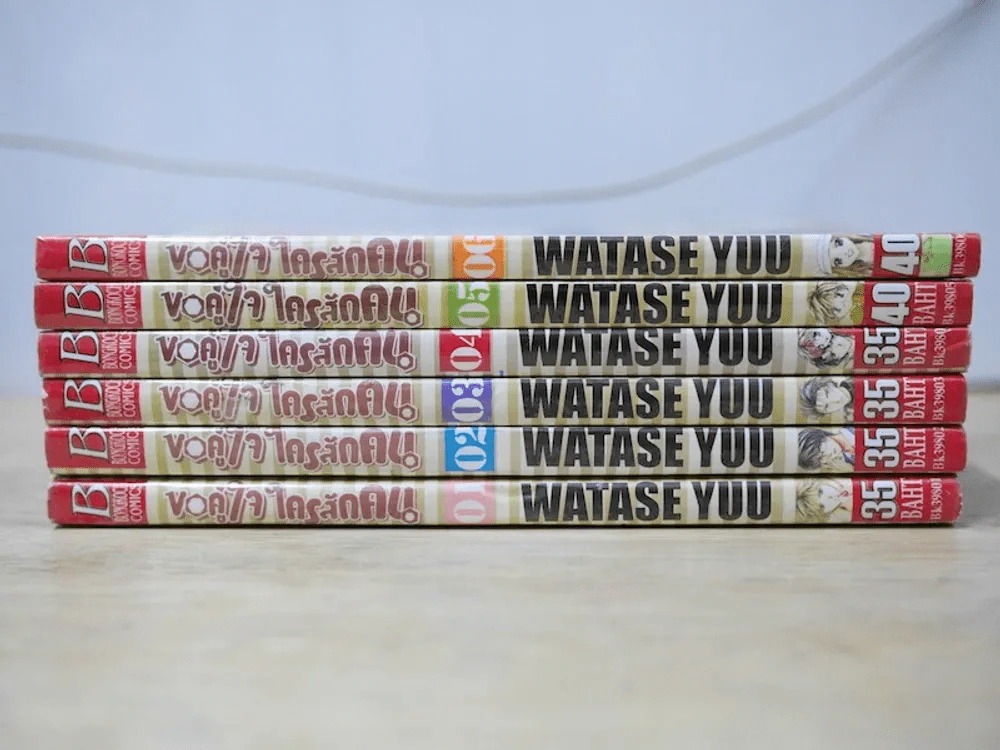 ขอคู่ใจใครสักคน 6 เล่มจบ รูปที่ 2