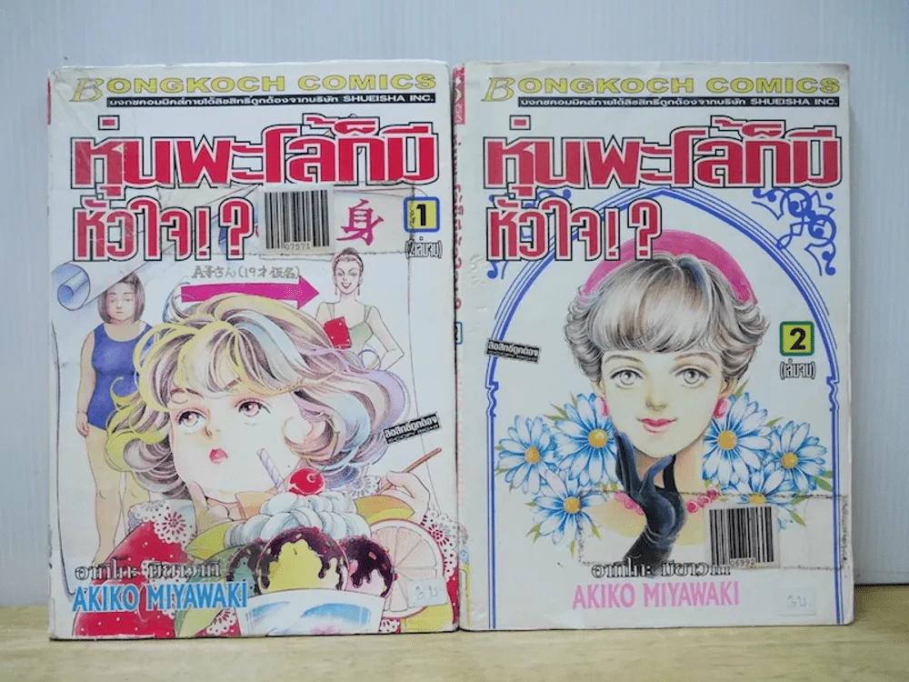 หุ่นพะโล้ก็มีหัวใจ 2 เล่มจบ รูปที่ 1