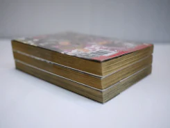 อสูรปราบอสูร คานาเมะ 3 เล่มจบ รูปที่ 3