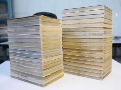 มังกรอหังการ หมาป่าคะนองศึก 37 เล่มจบ รูปที่ 3
