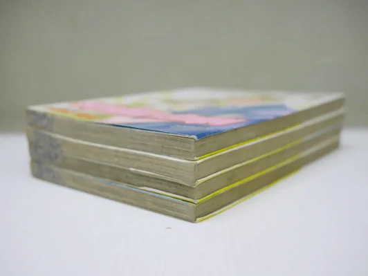พรุ่งนี้ฉันจะรักคุณ 4 เล่มจบ รูปที่ 4