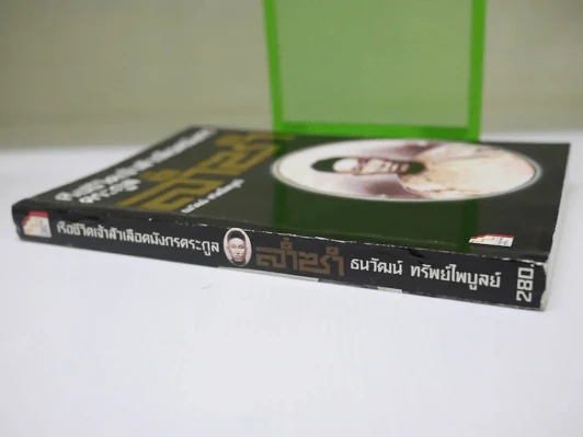 เรือชีวิตเจ้าสัวเลือดมังกรตระกูลล่ำซำ รูปที่ 3
