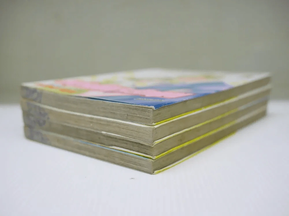 พรุ่งนี้ฉันจะรักคุณ 4 เล่มจบ รูปที่ 4